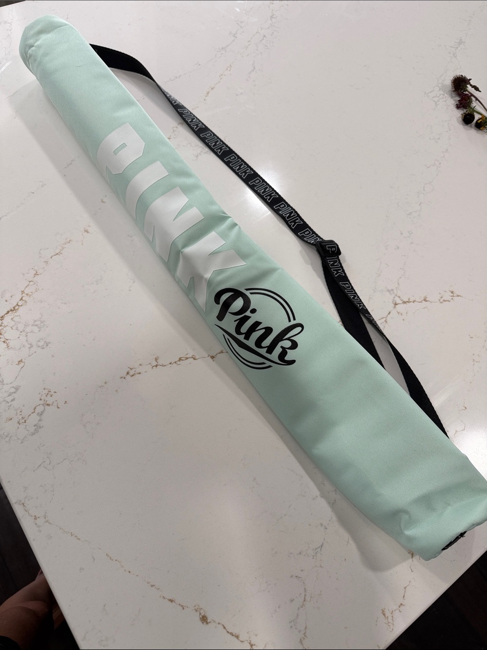 PINK Victoria's Secret Mint can cooler Carrier
